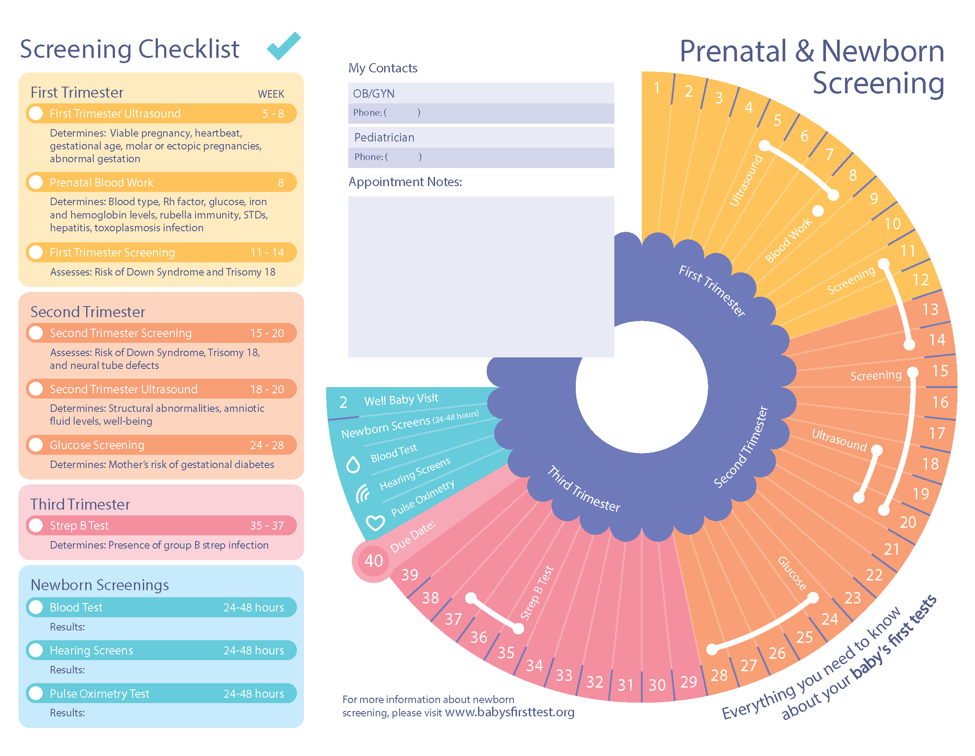 Prenatal And Newborn Screening Brochure | Baby's First Test | Newborn ...