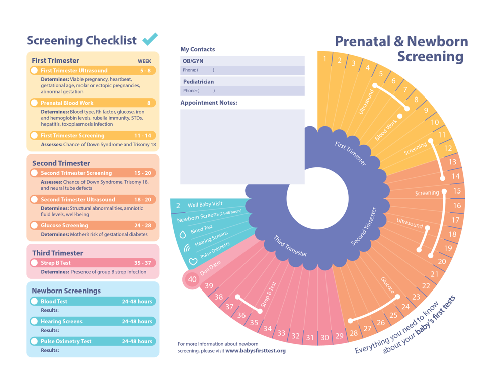 first prenatal visit screening tests